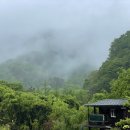 편백숲,쉼 | 완주 공기마을 편백숲 :: 비 오는 날에도 아기 안고 다녀온 힐링 산책 후기