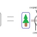 대전성모안과