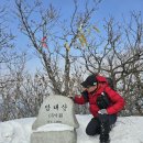 인제14-1 이미지