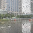 조금씩 다르지만 그것이 크게 다른 날들