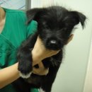 신석초교 이미지