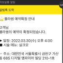 네일블라썸 이미지