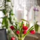 장구의 행정사 이미지