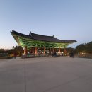 감포중매인 참가자미 횟집 이미지