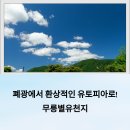강원도 동해 무릉별유천지 여행 후기