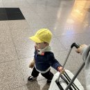 대천농장 | 아기랑 대천 여행