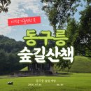 [경기/구리] 이번 주말이 마지막! 아기랑 산책하기 좋은 동구릉 숲길 방문 후기