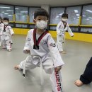 경희대 리더스 태권도장 이미지