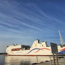 홍장군 흑염소농장 | 울릉도 맛집 추천 저동항 숙박 올레식당펜션