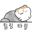 일랑일랑 애견캠핑 인제주 이미지