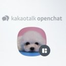 BABISOO 켄넬 이미지