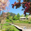 천리포수목원 이미지