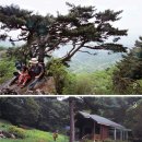 한성지물