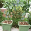 경인고등학교 이미지