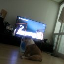 길순농장 이미지