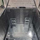 포도모터스 이미지