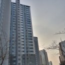 11단지비디오 이미지