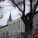 신세계를 찾아서 - 이미지