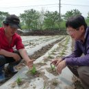 박광수농장 이미지