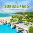 류진옥헤어팜 | 2026 본격적으로 결혼준비 해보자고~~