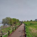 동양여인숙 | [실시간] 당진 유채꽃 명소 삽교호 호수공원, 솔뫼성지 유채꽃이 사라졌어요. 하지만 솔뫼 성지 복합...