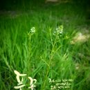 자세히 보아야 예쁘다 이미지