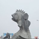 양지꽃집 - 사천시 흥신로 48 | 안산 풍도 야생화 보물섬 탐방후기 (배시간, 야생화 종류, 포토스팟)