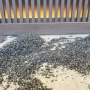 해인한의원 이미지