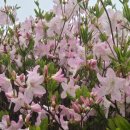 의령한우국밥 이미지