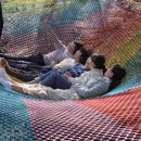 더케어팜 이미지