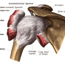 연세시원한외과의원 이미지