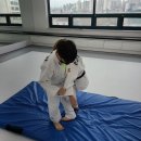 Dream of Judo 태평유도관 이미지