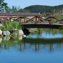 꽃지해안공원 이미지