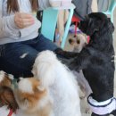 멍도시락 이미지