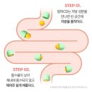 알파전자 | 닥터효 알파CD 제로 레몬맛 2박스+2박스 솔직 구매 후기 (2달분)