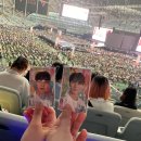 태양이 되어버린 어느 캐럿소녀 이야기 | 세븐틴 비더썬 콘서트 후기 | BE THE SUN WORLD TOUR in SEOUL