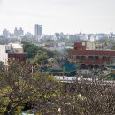 동흥상회 이미지