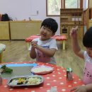 샘내어린이집 이미지