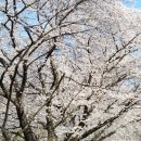 보문산 산책길 이미지