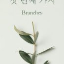 브랜치스(branches)