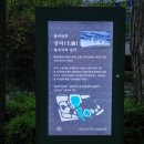 스님+며느리 조형물 | 강원도 태백 아이와 가볼만한곳 추천 황지연못 철쭉 부처님오신날 5월 여행