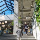 내유동 제 내유교 3거리- 내유 1마을회관 앞 | 애견동반 브런치카페 앤드테라스 피터팻츠 가봤어요