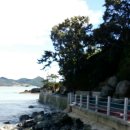 태풍 차바가 스쳐간 통영 금호 리조트 마리나 사진 이미지