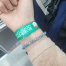 비키펫 살롱 | 22.06.18 궁디팡팡 캣페스타 쇼핑 리스트