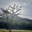 이솔팜빌리지 소리재 이미지