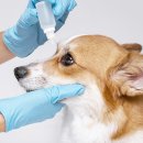 한마음동물병원 이미지