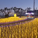 간절곶 공원 이미지