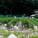 솔숲민박 이미지