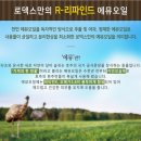 로덱스 이미지