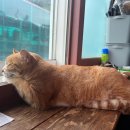 소낭 2호점 이미지